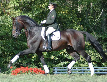 Donnersmarck