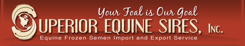 Superior Equine Sires Equine Frozen Semen Import Export Warmblood Sport Horse Breeds Sporting Horse Frozen Semen