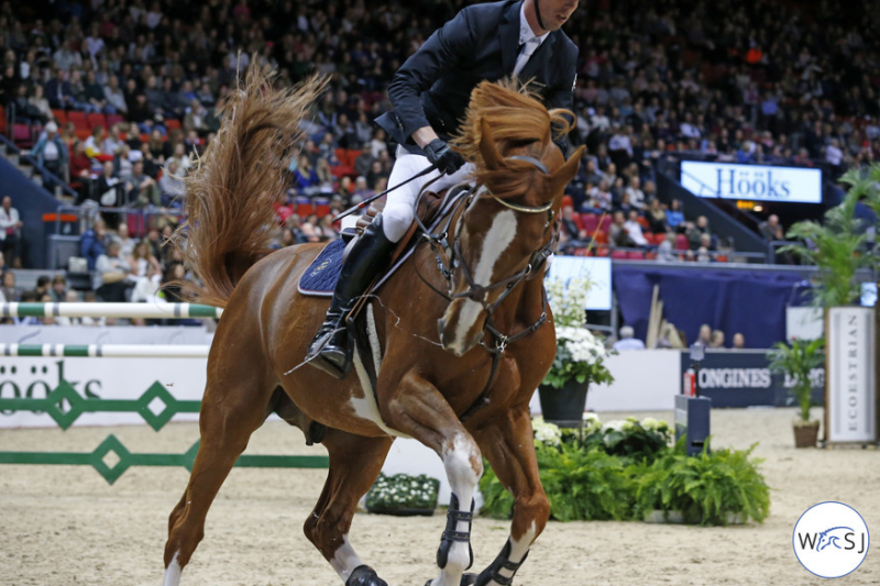 Emerald van 't Ruytershof (Diamant de Semilly/Carthago/Lys De Darmen) BWP -  multiple GP winner, sire of approved stallions,…