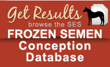 Frozen Semen Conception Database Stallions Breeding Reports Breeders