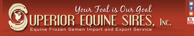 Superior Equine Sires Equine Frozen Semen Import Export Warmblood Sport Horse Breeds Sporting Horse Frozen Semen