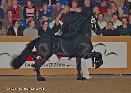 Bente 412