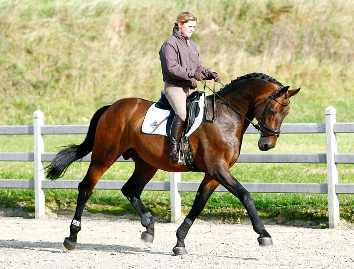 Cyrano