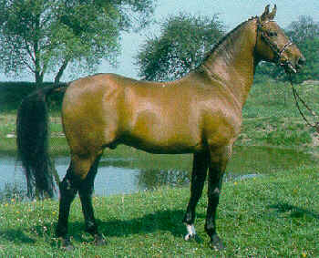 don juan