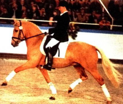 fs golden moonlight