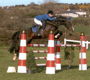 lancelot