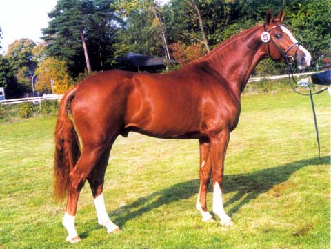 le primeur