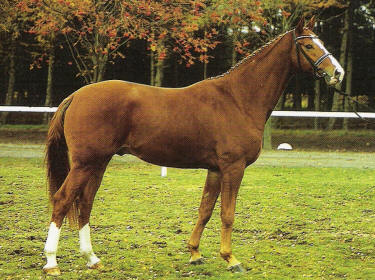 locksley