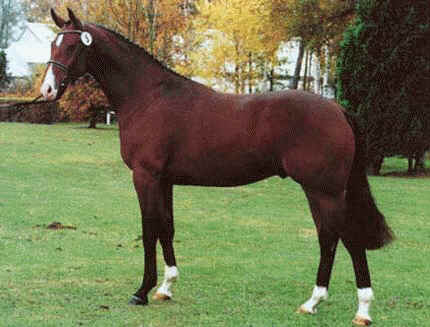 longchamp