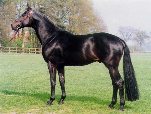 metternich