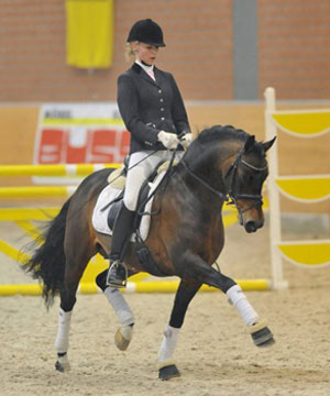 nemax