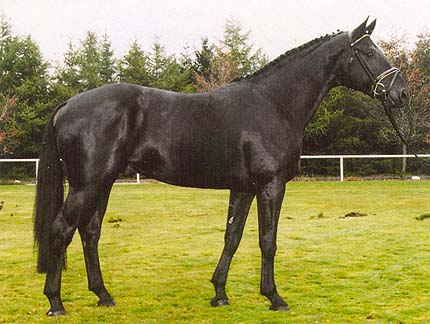 weltruhm