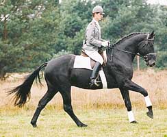 weltruhm